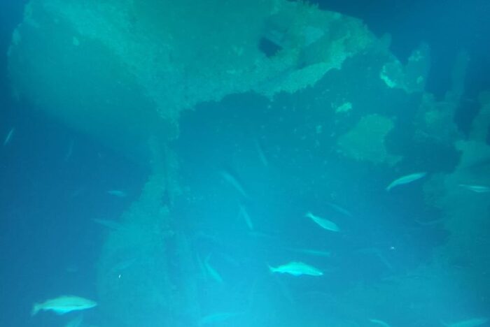 9146dc93-4e36-4a08-a40c-3f1e3cca1843 The wreck of the Leukos lying on the seabed north of Tory island. Photo: John Kearney
