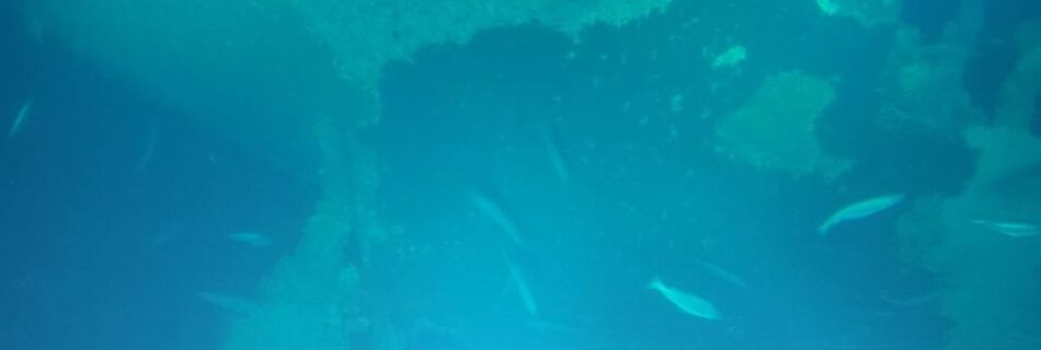 The wreck of the Leukos lying on the seabed north of Tory island. Photo: John Kearney